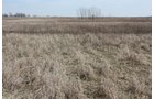 Property photo 12 - 194.67 Acres Offered in 2 Tracts